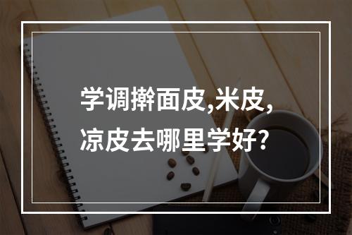 学调擀面皮,米皮,凉皮去哪里学好?