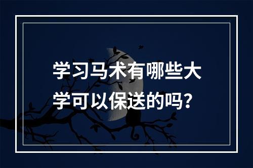 学习马术有哪些大学可以保送的吗？