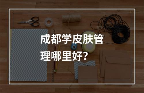 成都学皮肤管理哪里好？