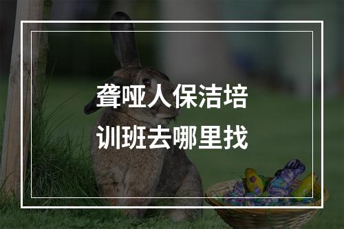 聋哑人保洁培训班去哪里找