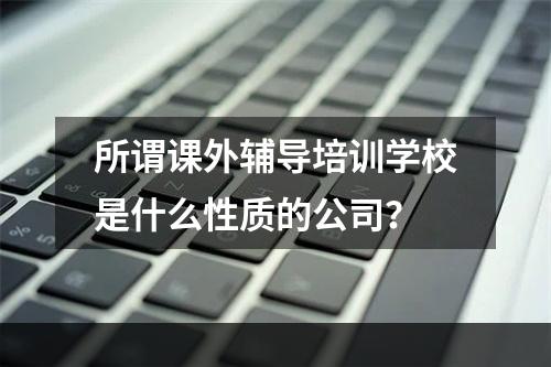 所谓课外辅导培训学校是什么性质的公司？