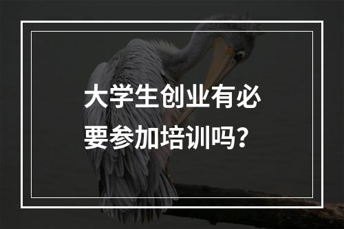 大学生创业有必要参加培训吗？