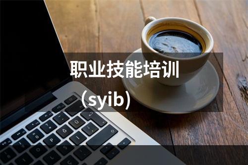 职业技能培训（syib)