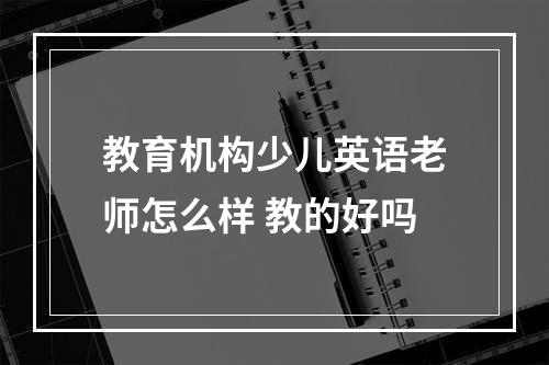 教育机构少儿英语老师怎么样 教的好吗