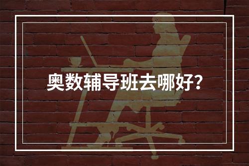 奥数辅导班去哪好？