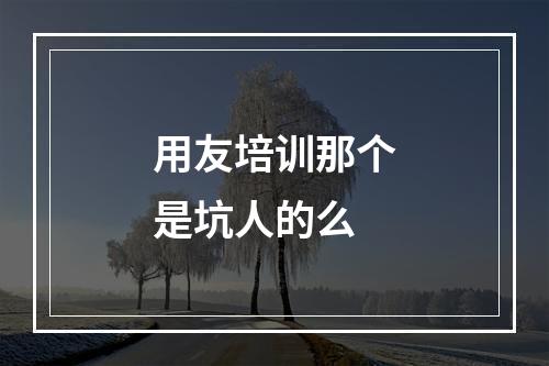 用友培训那个是坑人的么