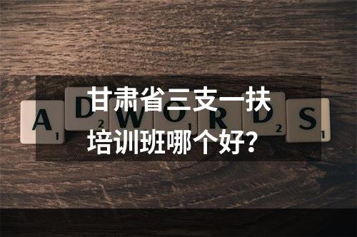 甘肃省三支一扶培训班哪个好？