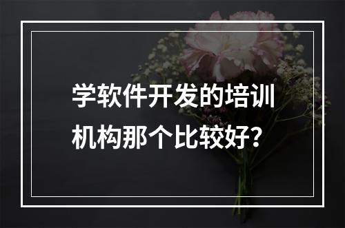 学软件开发的培训机构那个比较好？