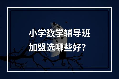 小学数学辅导班加盟选哪些好？