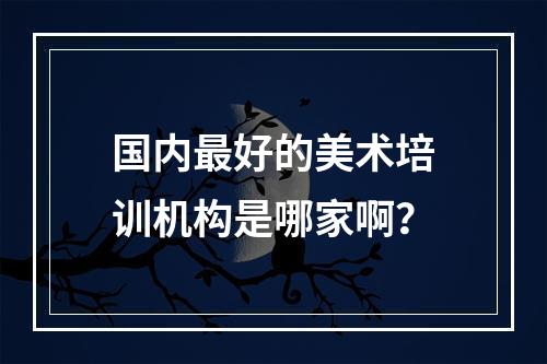 国内最好的美术培训机构是哪家啊？