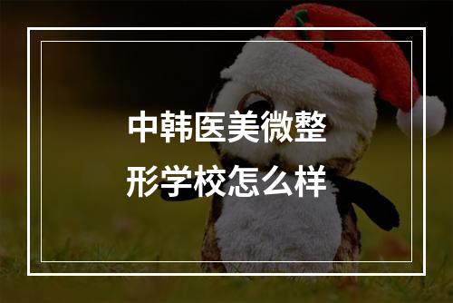 中韩医美微整形学校怎么样