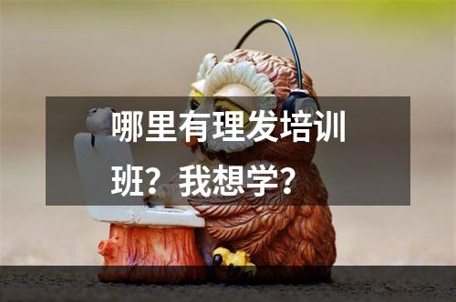 哪里有理发培训班？我想学？