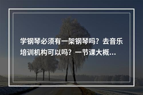 学钢琴必须有一架钢琴吗？去音乐培训机构可以吗？一节课大概多少钱？有时间的话可以去那练习吗？