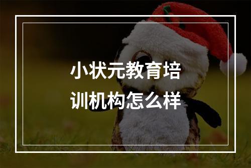 小状元教育培训机构怎么样