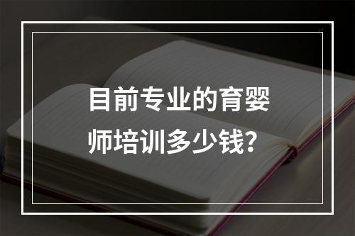 目前专业的育婴师培训多少钱？