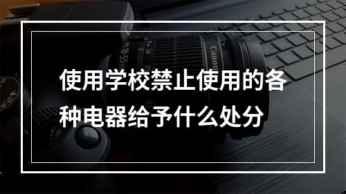 使用学校禁止使用的各种电器给予什么处分