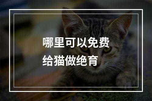 哪里可以免费给猫做绝育