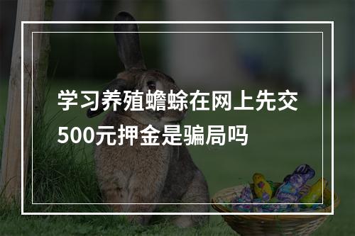 学习养殖蟾蜍在网上先交500元押金是骗局吗