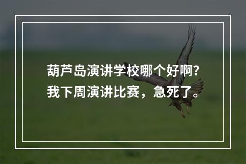 葫芦岛演讲学校哪个好啊？我下周演讲比赛，急死了。