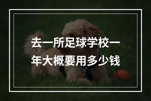 去一所足球学校一年大概要用多少钱