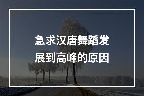 急求汉唐舞蹈发展到高峰的原因