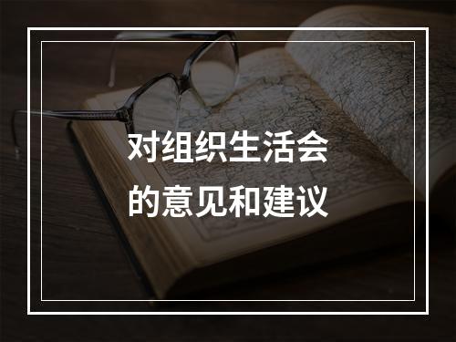 对组织生活会的意见和建议