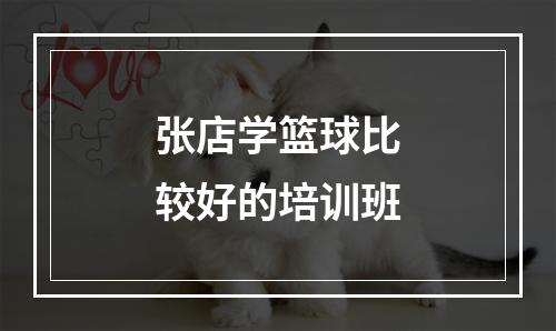 张店学篮球比较好的培训班