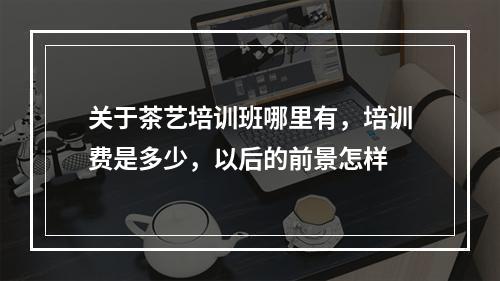 关于茶艺培训班哪里有，培训费是多少，以后的前景怎样