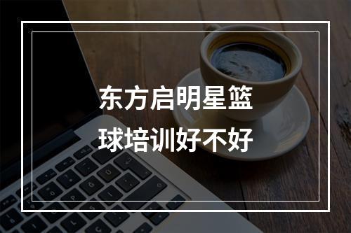 东方启明星篮球培训好不好