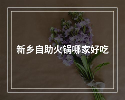 新乡自助火锅哪家好吃