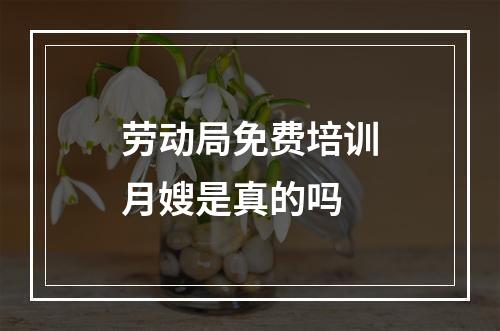 劳动局免费培训月嫂是真的吗