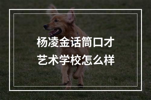 杨凌金话筒口才艺术学校怎么样