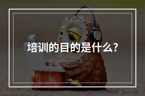 培训的目的是什么?