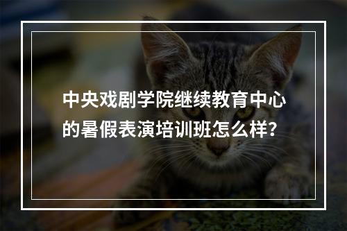 中央戏剧学院继续教育中心的暑假表演培训班怎么样？