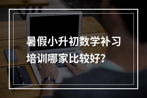 暑假小升初数学补习培训哪家比较好？