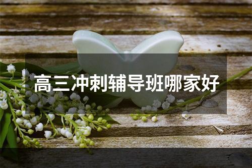 高三冲刺辅导班哪家好