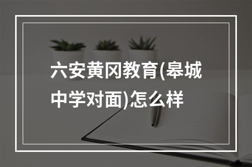 六安黄冈教育(皋城中学对面)怎么样