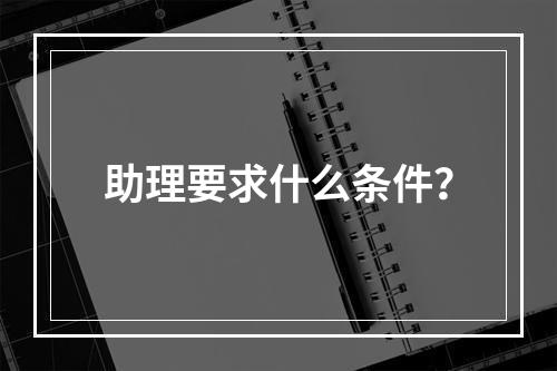 助理要求什么条件？