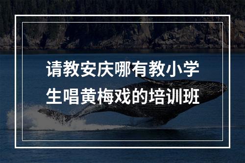 请教安庆哪有教小学生唱黄梅戏的培训班