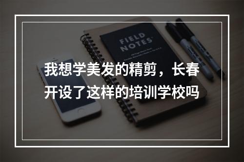 我想学美发的精剪，长春开设了这样的培训学校吗