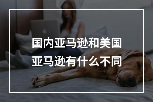 国内亚马逊和美国亚马逊有什么不同