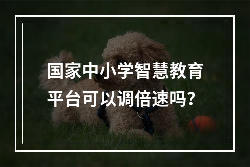 国家中小学智慧教育平台可以调倍速吗？