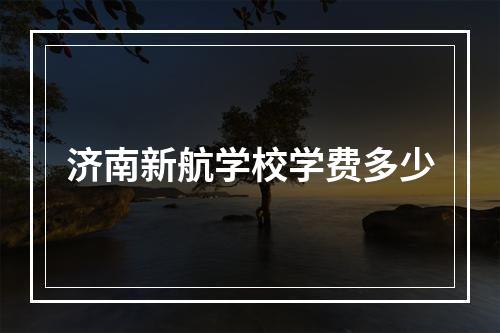 济南新航学校学费多少