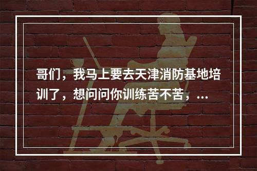 哥们，我马上要去天津消防基地培训了，想问问你训练苦不苦，都训练些什么