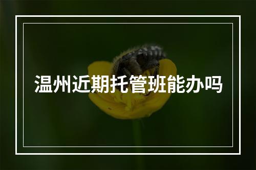 温州近期托管班能办吗