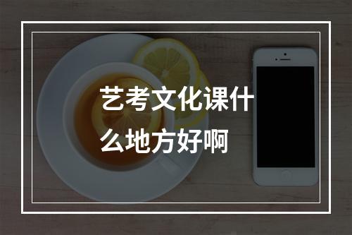 艺考文化课什么地方好啊