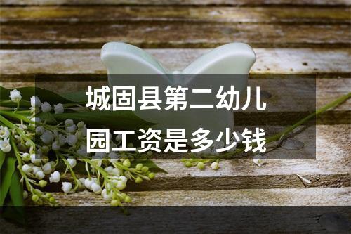 城固县第二幼儿园工资是多少钱