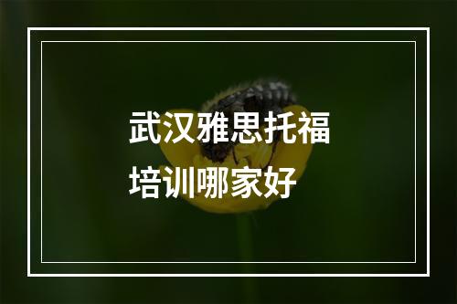 武汉雅思托福培训哪家好