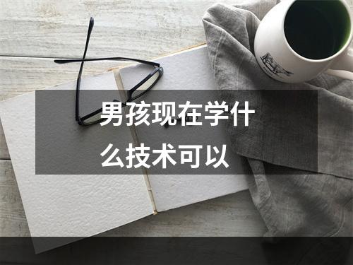 男孩现在学什么技术可以