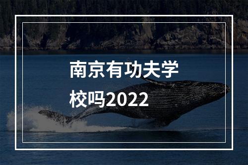 南京有功夫学校吗2022